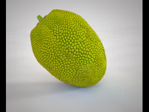 jack fruit 3D Model