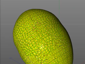 jack fruit 3D Model