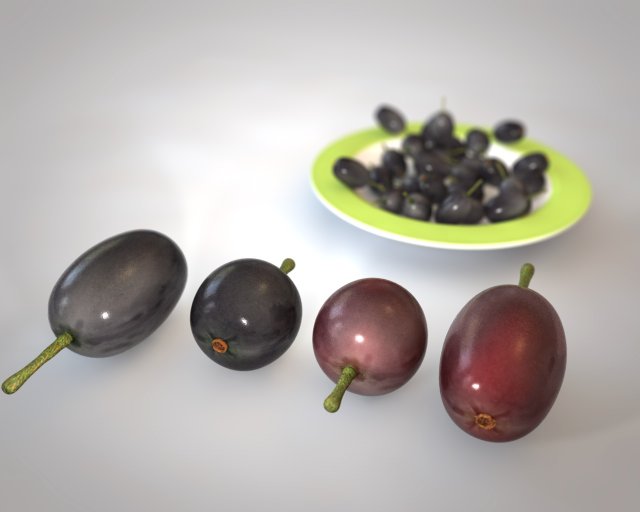 jambul java plum 3D Model .c4d .max .obj .3ds .fbx .stl .blend 