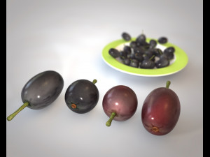 jambul java plum 3Dモデル