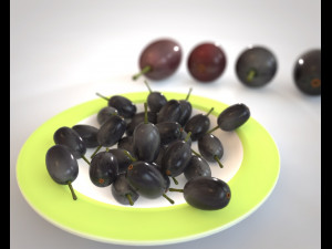 jambul java plum 3D Model