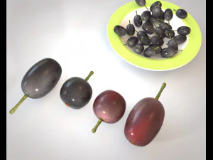 jambul java prugna Modello 3D