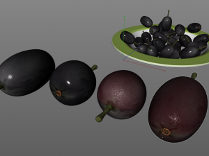 jambul java plum 3D Model