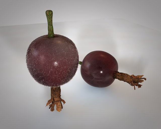 jostaberry berries Modelo 3D .c4d .max .obj .3ds .fbx .stl .blend 
