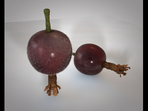 jostaberry berries 3Dモデル