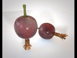 jostaberry berries Modelo 3D