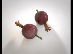 jostabesbessen 3D Model