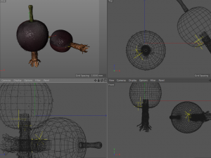 jostaberry berries Modelo 3D