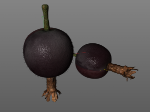jostaberry berries Modelo 3D