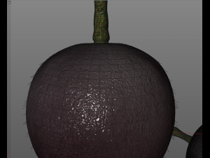 jostaberry berries Modelo 3D