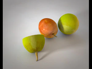 jujube 3D Model