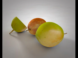 jujube 3D Model
