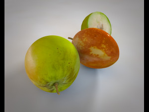 jujube Modelo 3D