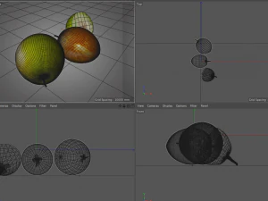 jujube 3D Model