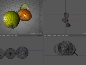 jujube 3D Model