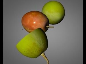 jujube Modelo 3D