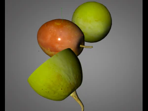 jujube 3D Model