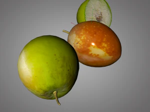 jujube 3D Model