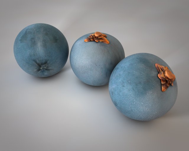 juniper berry 3D Модель .c4d .max .obj .3ds .fbx .stl .blend 