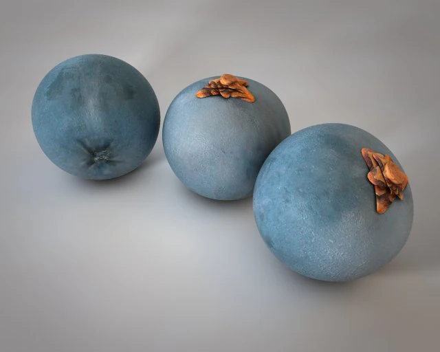 juniper berry 3D Model .c4d .max .obj .3ds .fbx .stl .blend