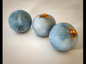 juniper berry 3D Модель