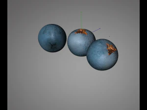 juniper berry 3D Model