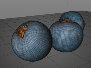 juniper berry 3D Model