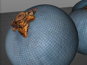 juniper berry 3D Model