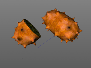 kiwano horned melon 3Dモデル