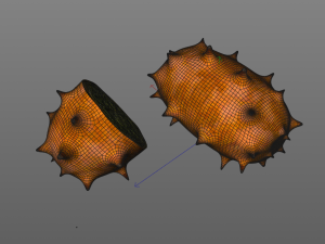 kiwano horned melon 3Dモデル