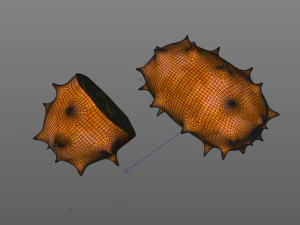kiwano horned melon 3D Model