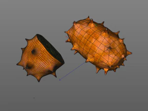 kiwano horned melon 3D Model