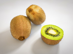 kiwi fruit 3D 모델