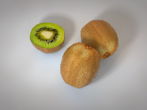 kiwi fruit 3D 모델