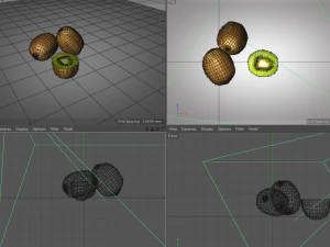 kiwi fruit 3D Model