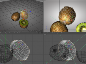 kiwi fruit 3D 모델