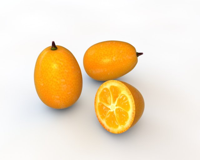 kumquat fruit 3D Model .c4d .max .obj .3ds .fbx .stl .blend 