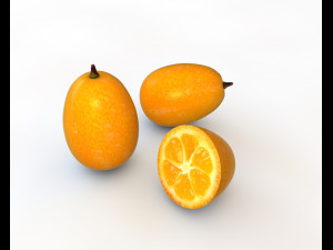 kumquat fruit 3D Модель