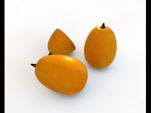 kumquat fruit 3D Model