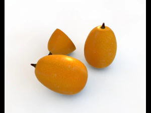 kumquat fruit 3D Model