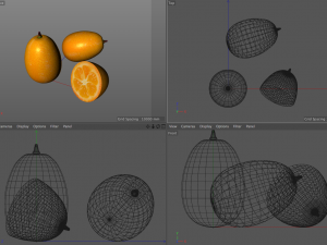 kumquat fruit 3D Model