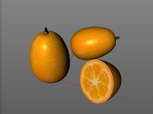 kumquat fruit 3D Model