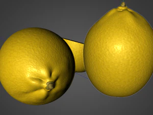 lemon yellow 3D Model