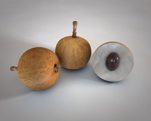 longan dimocarpus fruit Model 3D .c4d .max .obj .3ds .fbx .stl .blend 