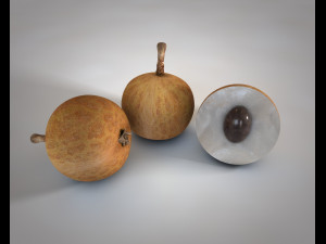 longan dimocarpus fruit 3D Model