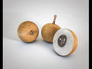 longan dimocarpus fruit 3D Model