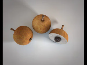 longan dimocarpus fruit 3D Model