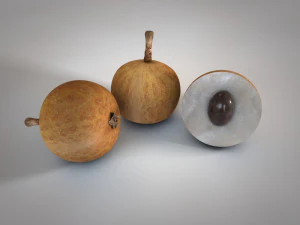 longan dimocarpus fruit 3D Model