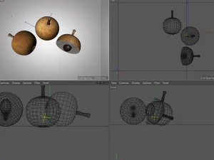 longan dimocarpus fruit 3D Model