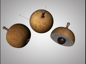 longan dimocarpus fruit Model 3D